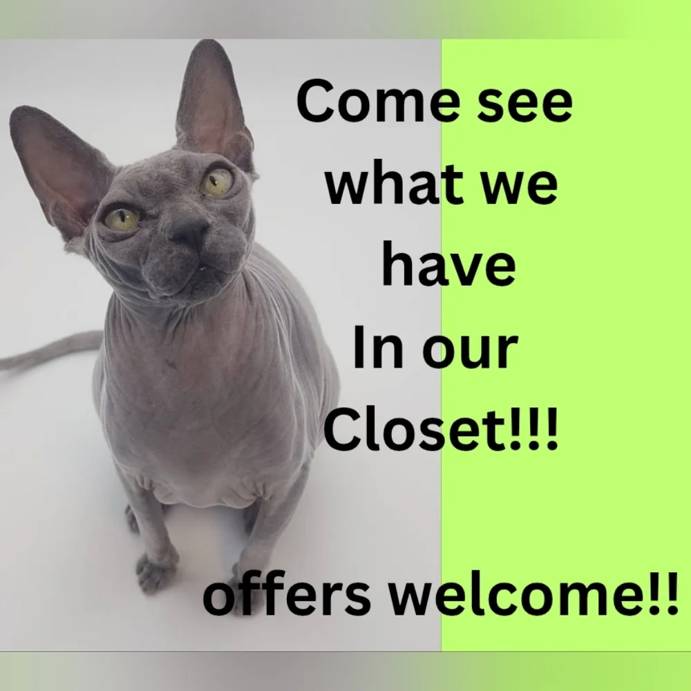 Peep Our Closet!